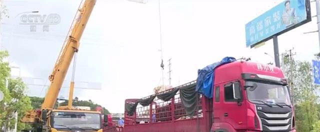 株洲又上央视了！这次是因为……